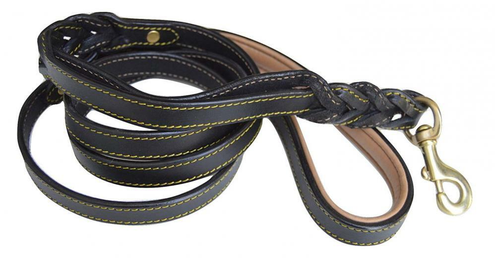double handle leash petsmart