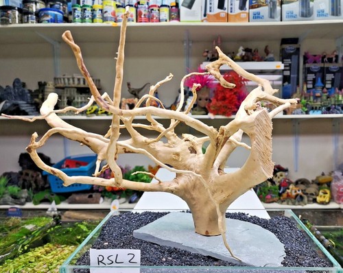 RED MOOR on SLATE wood bogwood driftwood aquariums vivariums REDMOOR - 第 6/33 張圖片