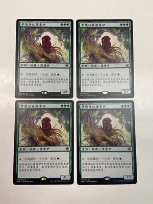Circle of Dreams Druid - AFR - MTG - LP - Chinese Simplified - Magic