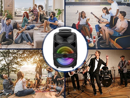 1000W Portable Wireless Bluetooth Speaker Super Bass Stereo Radio FM TF AUX USB - Picture 15 of 37