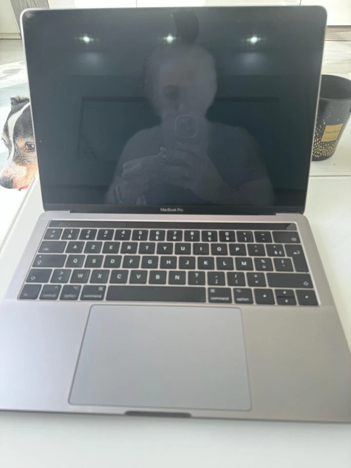 Apple MacBook Pro 13" 2017 · i5 · 8GB · 256GB, photo 2 sur 4