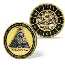 AA Sobriety Coin – 12 Step Recovery Medallion, One Day at a Time Chip with Cl...