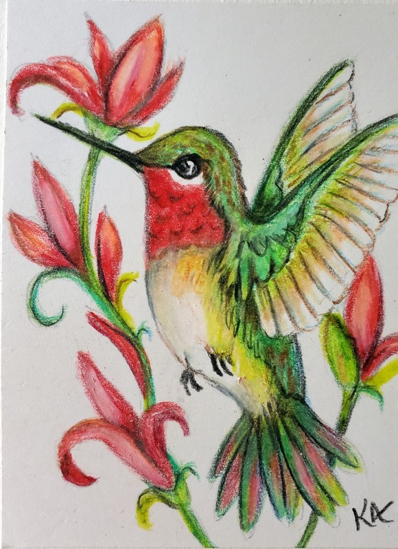 ACEO Original Art Card "Hummingbird" Colored Pencils 2.5" x 3.5"