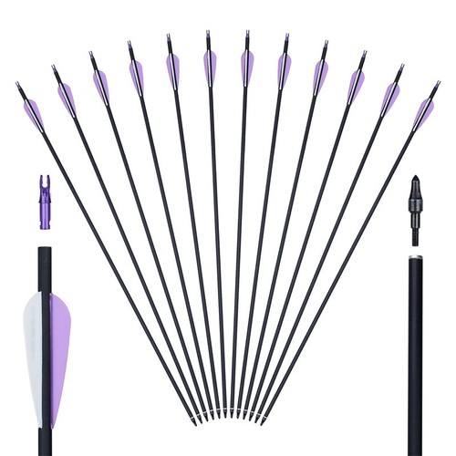 12pcs 31" Hunting Target Practice Arrows Sp500  for Compound & Recurve Bow Arrow - Picture 1 of 12