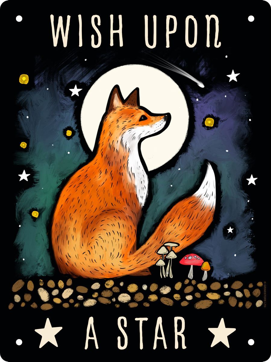 Wish Upon A Star Mini Tin Sign