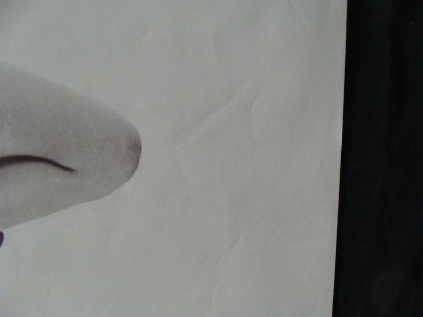 Picture 6 of 13