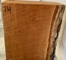 Pear fresh cut green Bowl Blank turning wood Pen Blanks Calls 3 1/2”x7”x8”  P-14