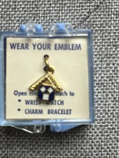 Masonic Past Masters Lapel Pin NEW