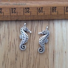10 Seahorse Charms for Jewelry Making