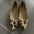 Max and Drew Jaguar Print Mimi Flats Pointed Toe Women's Size 10 — photo 8