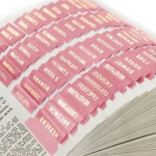 DILIBRA Bible Tabs - 100 Index Tabs, 73 OT/NT, 27 Blank - Easy to Read (Pink)