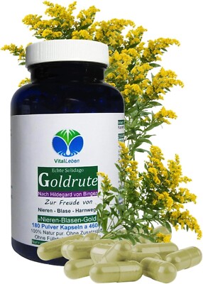 Goldrute 180 Kapseln Solidago Kräuter Nieren Blase Harnwege Ohne Zusatzstoffe