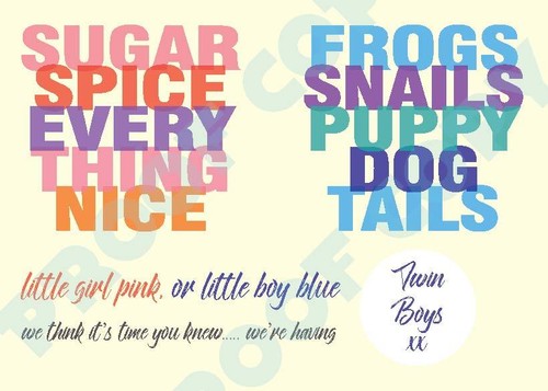 GENDER REVEAL SCRATCH CARD Sugar Frogs Baby Shower Boy Girl Twins Pack of 12 - Picture 4 of 6