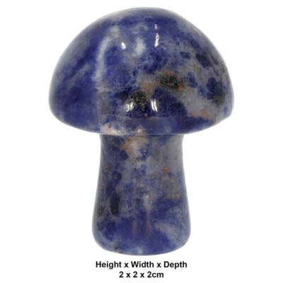 Mini Pilz Kristall geschnitzt poliert Edelstein 12 Arten Amethyst Rosenquarz ++