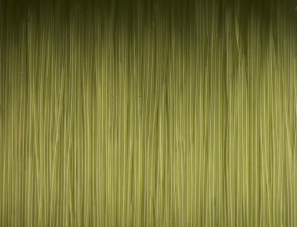 PROLOGIC DENSITY MONO CARP 1000MT FILO NYLON CARPFISHING CARP EXTRA STRONG - Immagine 3 di 3