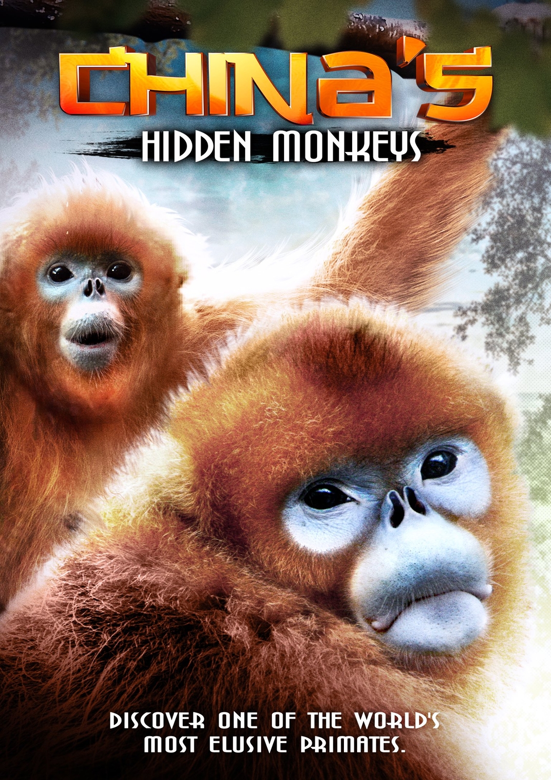 China's Hidden Monkeys (DVD) Mitchell Farkas