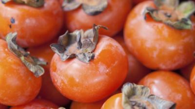 Natural Sun-Dried Persimmon Snacks - 0.9 LB (410 Gram) Bag, 100% Natural Sweet Dried Fruit