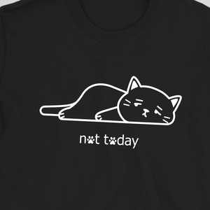 not today cat