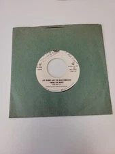 JIVE BUNNY-  SWING THE MOOD/GLENN MILLER MEDLEY 7" 45 RPM RECORD LIKE NEW OOP