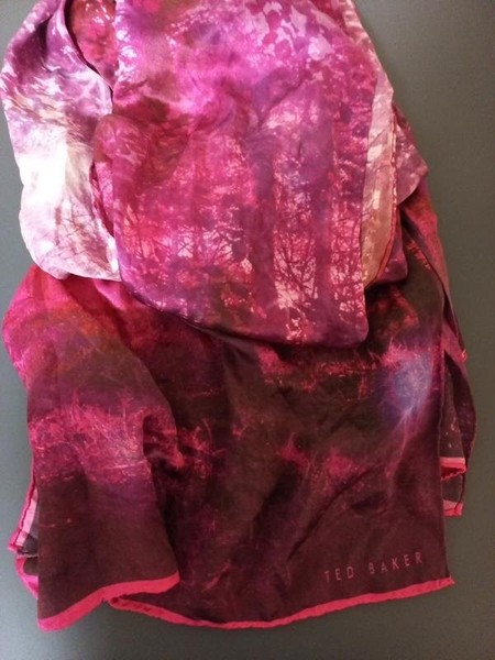Scarf Ted Baker Multicolor One size