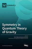 Chris Fields | Symmetry In Quantum Theory Of Gravity | Buch | Englisch (2022)