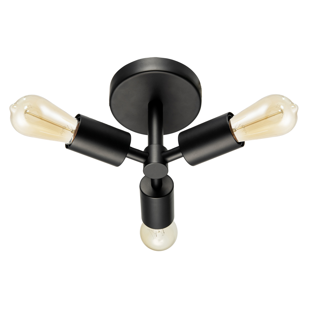 Industrial Matte Black Ceiling Light Fixture to Showcase Vintage Bulbs by Hap...