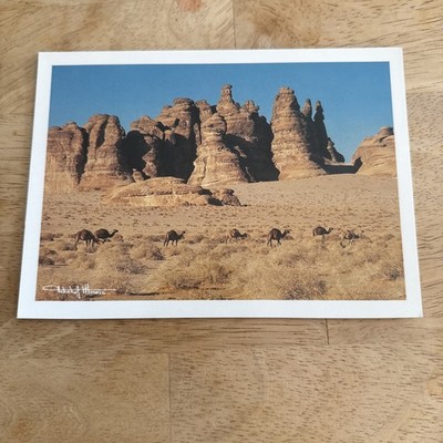 Saudi Arabia Camels Desert Al Ula Region Erosion Vintage Postcard Tchekof Minosa