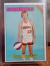 1975-76 Topps Basketball #246 Dave Twardzik Virginia Squires ABA Norfolk