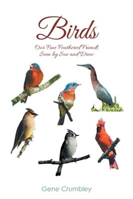 Birds: Our Fine Feathered Friends: Seen by Sue and Drew (Paperback or Softback)