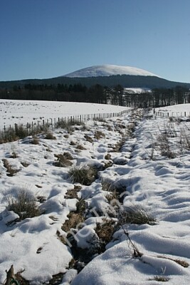 Photo 6x4 Above Edingight Knockbog This is a ditch which drains fields ab c2010