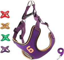 Dog Harness for Medium Dogs,No-Choke ,Soft Mesh Padding,Leash Included (M)
