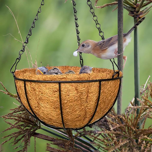 6Pcs 14 Inch Coconut Liners for Planters, round Hanging Basket Liners 100% Natur - Picture 6 of 12