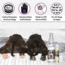 Staffordshire Bull Terrier Relax Dog Aromatherapy  Calms Your Anxious Dog
