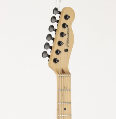 稀少‼　FERNANDES TE-95T FERNANDES/BURNY TE-95T JUDY AND MARY Takuya Model w/soft