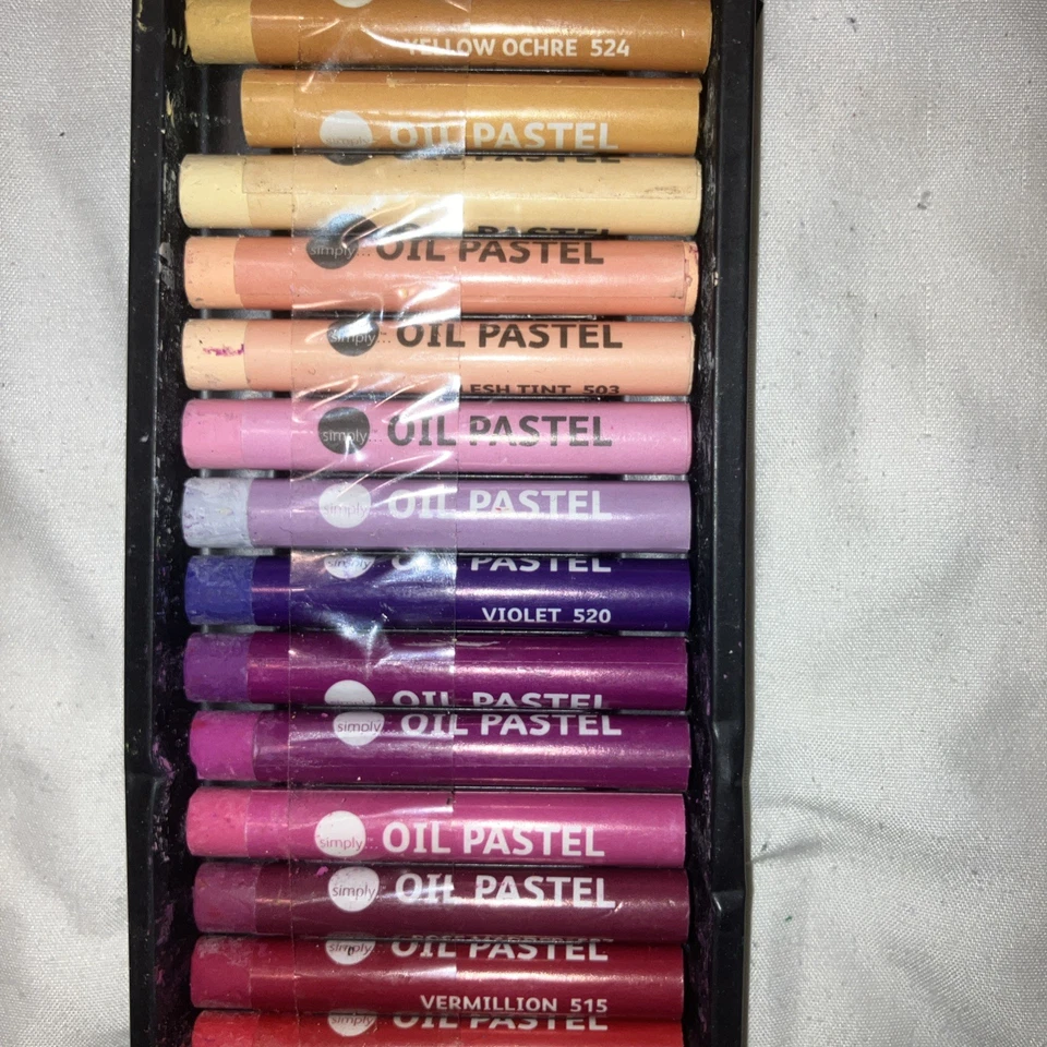 Daler Rowney Simply Oil Pastels Daler Rowney 25 colores en caja (usado) aceptable Foto 2 de 3
