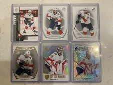 Florida Panther Hockey Lot  #318LFP
