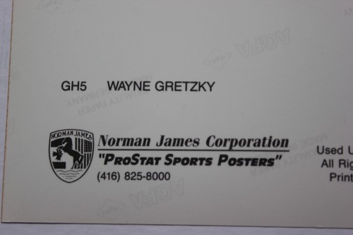 1990 Norman James Locker Cards Wayne Gretzky All Stars 8" X 10" Photos - Picture 9 of 14
