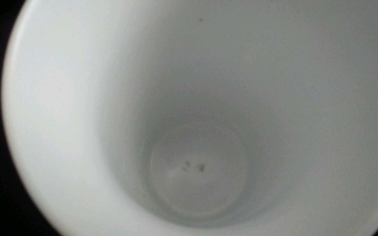 Foto 5 di 5