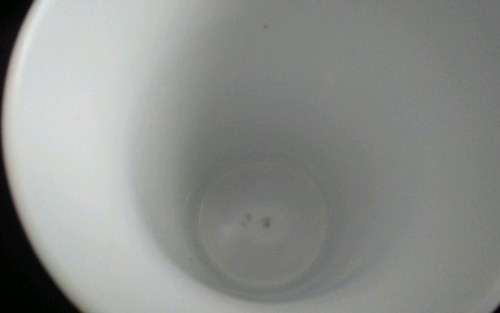 Tazza da caffè Horse Mare con puledro raffigurata - per amanti dei cavalli - 6"T - Foto 5 di 5