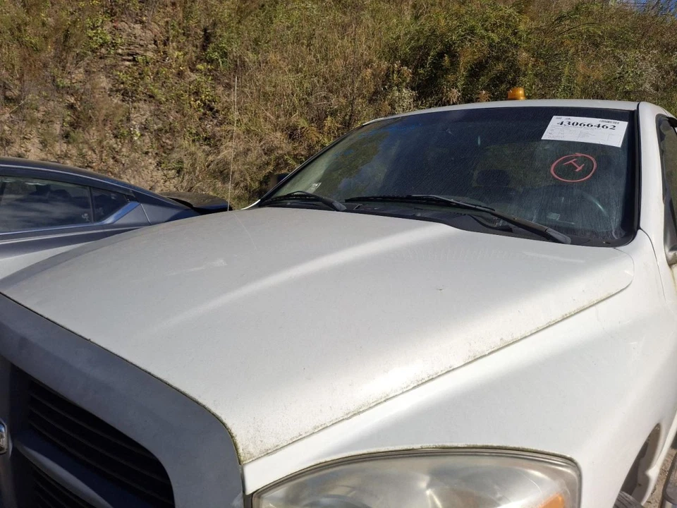 Alternador TDODR1500 2008 3719673 Foto 2 de 4