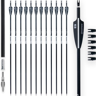 BOWSOUL 31Inch Carbon Arrows for Target Practice Hunting Arrow with Removable...