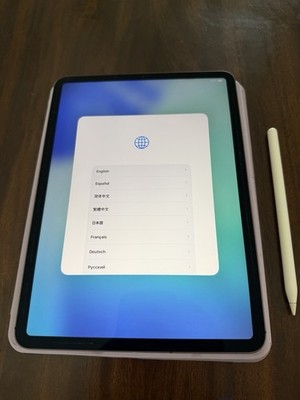 Apple iPad Pro 11-inch 2nd Gen, 256GB, WIFI + Unlocked All Carriers - Space Gray