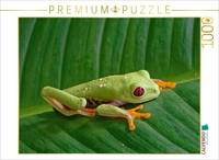 Calvendo Puzzle Rotaugenlaubfrosch | 1000 Teile Lege-GrößE 64X48Cm Foto-Puzzle F