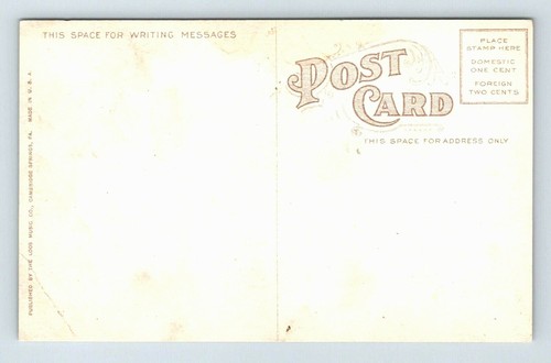 CAMBRIDGE SPRINGS, PENNSYLVANIA, City Hall, Rider Hotel, Street Scene, c 1910s - Picture 2 of 2