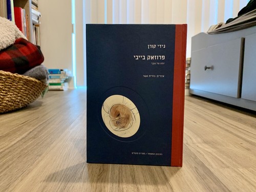 Prozac Baby: Diary of a Fetus (*Hebrew Edition*) by Gidi Koren (2013, Hardcover) - Afbeelding 1 van 9