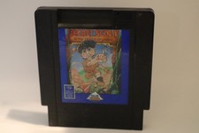 Secret Scout in the Temple of Demise (Nintendo Entertainment System, 1991)