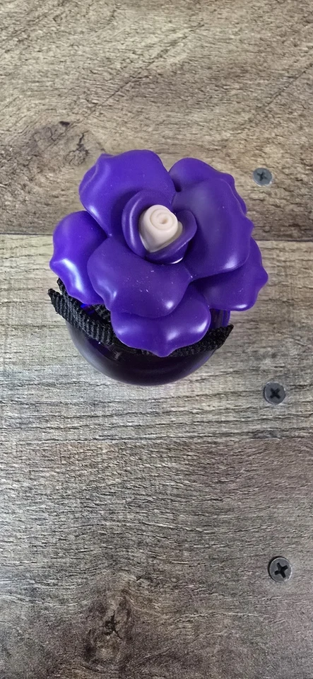 Dolce Violet de Dolce and Gabbana para mujer - 1,0 OZ eau de parfum spray nuevo sin caja Foto 2 de 4