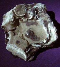 Travertine (Cave Rock) Fluorescent Minerals, Mt Pleasant Mills PA