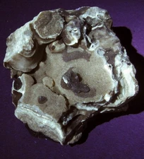 Travertine (Cave Rock) Fluorescent Minerals, Mt Pleasant Mills PA