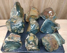 7.9LB ORBS Blue Mountain Picture of Jasper Rough 9pc Lot #41